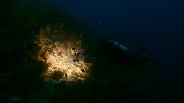 Professional diver / underwater cinematographer filming at night in coral reef of Caribbean Sea around Curacao