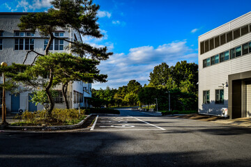 Fototapeta na wymiar 韓国、大邱大学とその周辺の散策情景