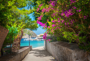 Fototapety na wymiar - Fototapeta24.pl