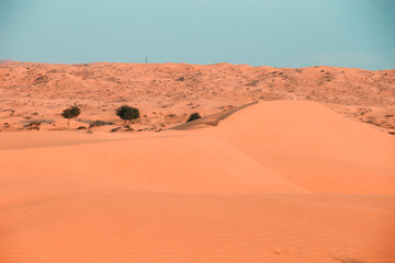 Fototapeta na wymiar The Desert in Ras al Khaimah, United Arab Emirates, Asia