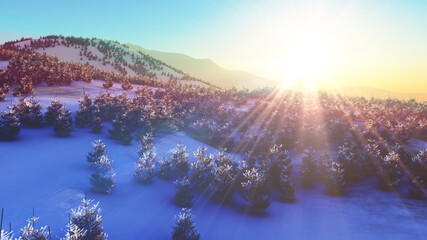 Obraz premium above winter forest mountain sunset