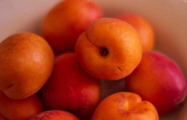 Close-up juicy heap of apricots 