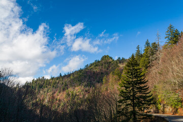 Winter Landscape, Great Smoky Mountains National Park