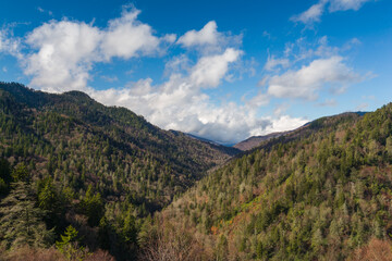 Fototapeta na wymiar Winter Landscape, Great Smoky Mountains National Park