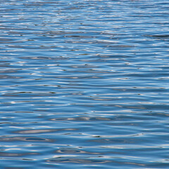 texture of blue sea water surface background	