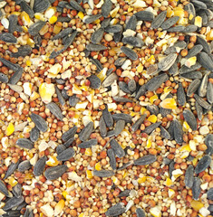 Wild bird seed mixture