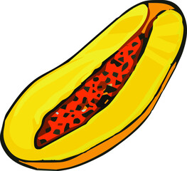 Vector ripe fruit papaya hand drawn, half of papaya, vector fruit