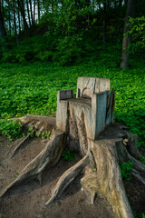 armchair for a child straight from a tree stump in Arkhangelskoye park  (19th century mansion  od prince Usupov)