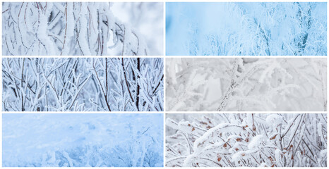 Collection of winter panoramic backgrounds with trees and bushes covered with hoarfrost. Snow and rime ice on the branches. Hoar frost on plants. Cold snowy weather. Set of cool frosting textures.
