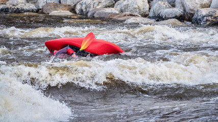 kayaker rolling after surfing a wave in the Poudre River Whitewater Park in downtown of Fort Collins