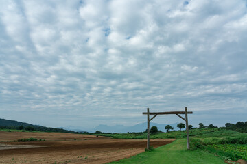 Fototapeta na wymiar 高原に作られた広い畑と空一面に広がる雲