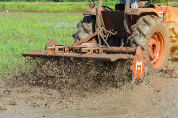 Obraz premium Agricultural rice field with tractor with nature background.