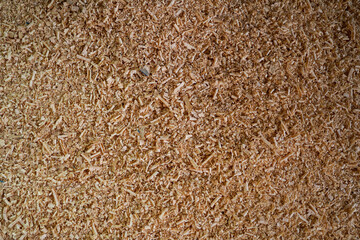 wooden splinters, pieces of wood cut in the workshop