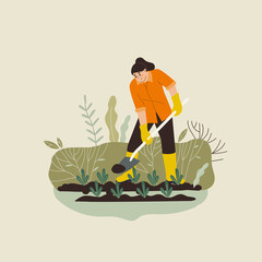 Woman gardening. Woman planting gardens flowers, agriculture gardener hobby and garden job. Gardening person, gardener flowers cutter working