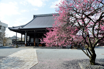 興正寺　御影堂　京都市下京区