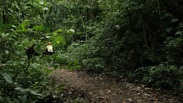 cyclist on trail