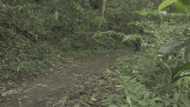 mountain bike on trail