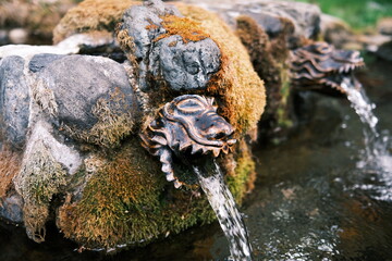 久慈渓流の湧き水