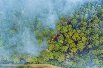 Aerial view a smoke coming from a trees on fire in the forest