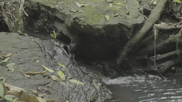 waterfall in the forest