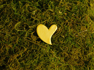 heart shaped grass