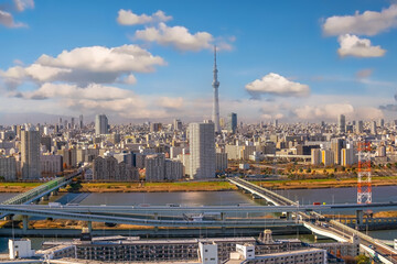 Obraz premium Downtown Tokyo city skyline cityscape of Japan