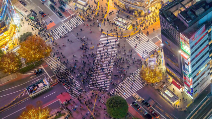 Pedestrians crosswalk at Shibuya district in Tokyo, Japan