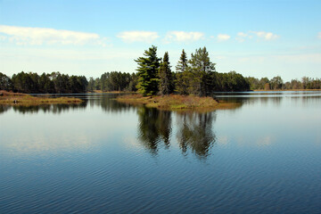 Fototapeta premium reflection of trees in the lake