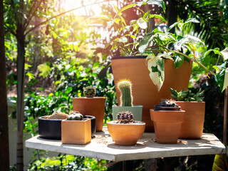 Various colorful plant pots in the shop.