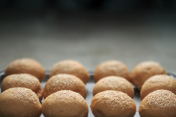 many burger bread buns topping with sesame seeds lay on the oven tray with empty graduated dark shadow background empty black copy space