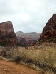 Zions National Park