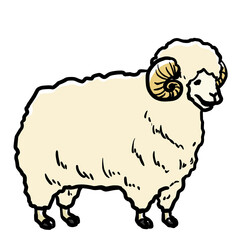 Simple and realistic sheep illustration