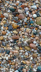 rocks at beach