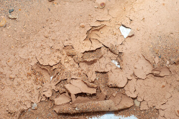 the background is a texture in the form of peeling mud with sand at the bottom