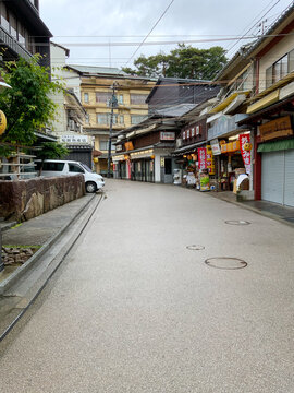 二度目の緊急事態宣言の影響を受ける宮島の光景