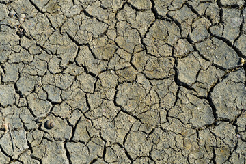 Cracked soil on the river bottom with shells and pebbles texture or background