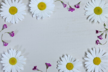 6つの白いマーガレットの花 白背景 6 white Marguerite flowers white background 4