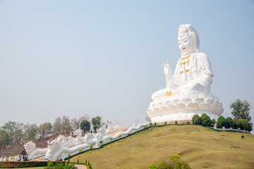 Fototapeta premium Thai-Chinese temple - wat hyua pla kang-Chiang Rai Province Northern Thailand