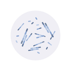 Bacillus cereus, subtilis, anthracis. Pathogen. Rod-shaped, gram-positive bacteria. Morphology. Microbiology. Vector flat illustration - obrazy, fototapety, plakaty