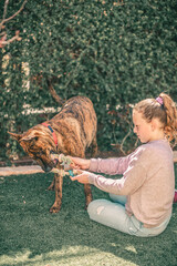 Young smiling girl taking away toy while playing with big dog on garden in summer sunny day
