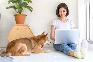 Beautiful young asian woman working on the floor in living room at home with her Shiba Inu Japanese dog, Cheerful and nice couple with people and pet