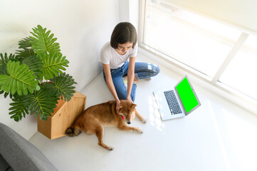 Top view of beautiful young asian woman working on the floor in living room at home with her Shiba Inu Japanese dog, Cheerful and nice couple with people and pet