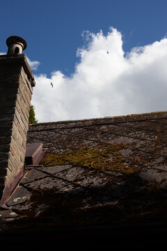 Une vieux toit en &eacute;ternit recouvert de mousse avec un conduit de chemin&eacute;e en braiques sur la gauche. C&acute;est une contre-plong&eacute;e, le ciel est couvert avec de gros nuages blancs et des oiseaux bien visibl