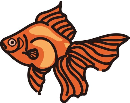 72 Best 金魚掬い Images Stock Photos Vectors Adobe Stock 72 Best 金魚掬い Images Stock Photos Vectors Adobe Stock