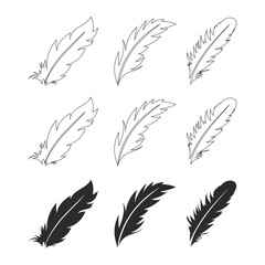 White and black feathers and beautiful stripes vector set, isolated on white background  , Vector illustration EPS 10