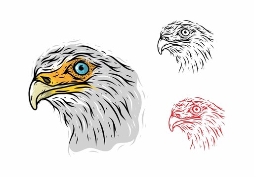 Eagle head line art drawing