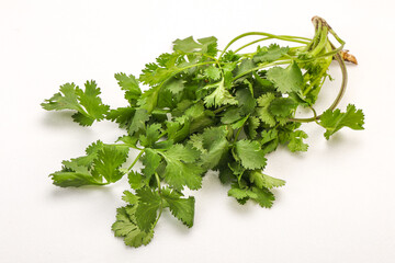 Green coriander or cilanto leaves heap