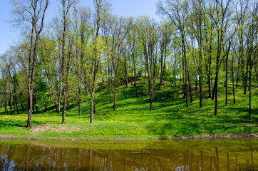 river in the city park and roads
