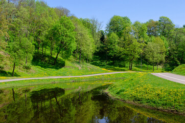 river in the city park and roads