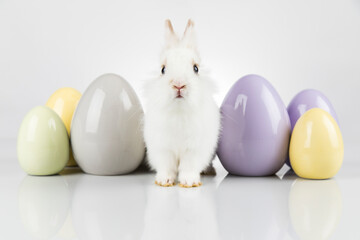 Baby bunny and egg, easter background - 434040236